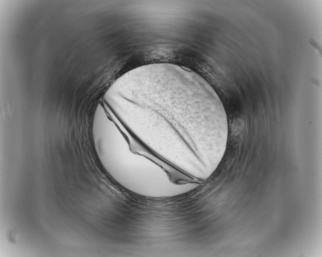 X0000097950617200804211038