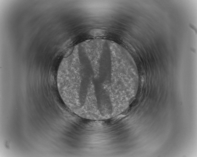 X0000097950618200804211038