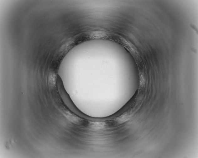 X0000097950621200804211038