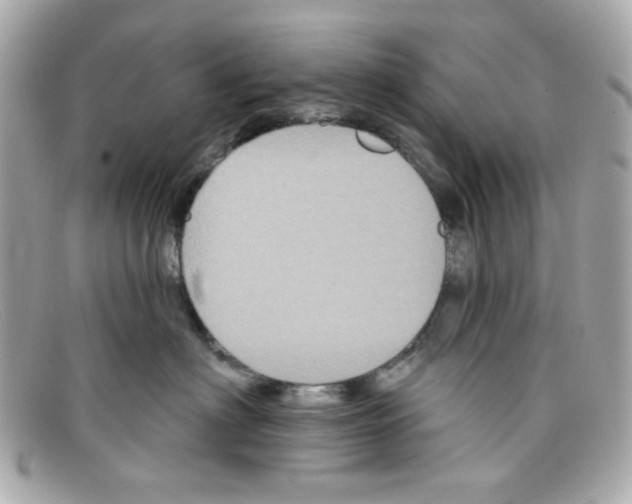 X0000097950622200804211038