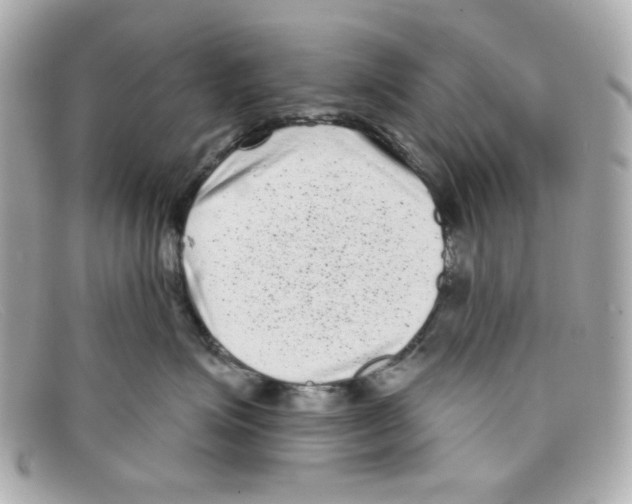 X0000097950623200804211038