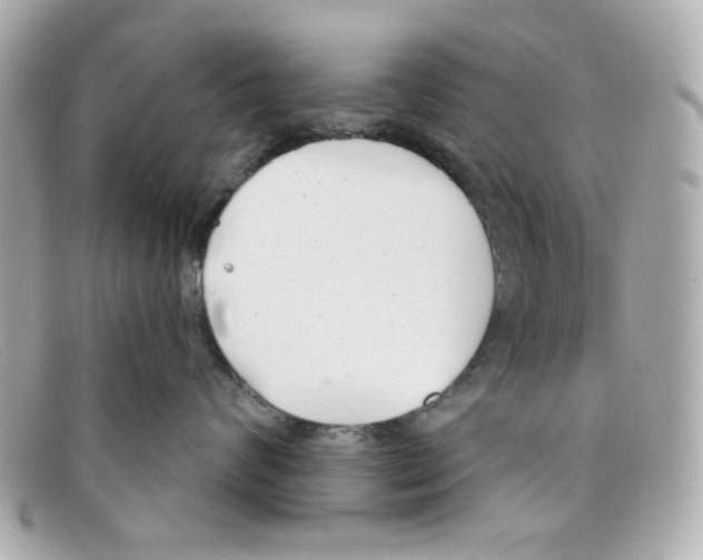 X0000097950624200804211038