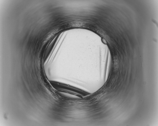 X0000097950626200804211037