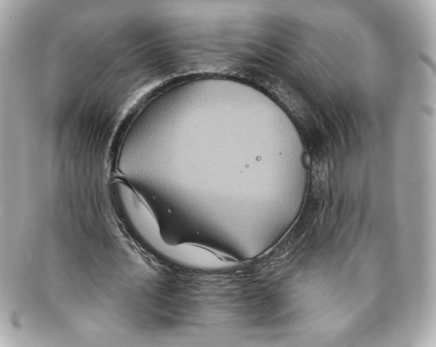 X0000097950628200804211037