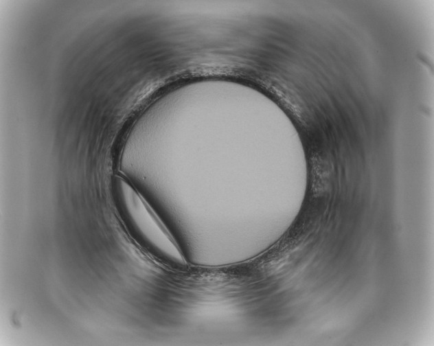 X0000097950631200804211037