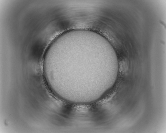 X0000097950632200804211037