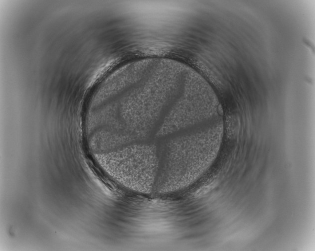 X0000097950634200804211037
