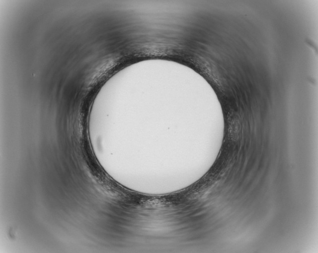 X0000097950635200804211037