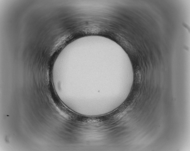 X0000097950638200804211037