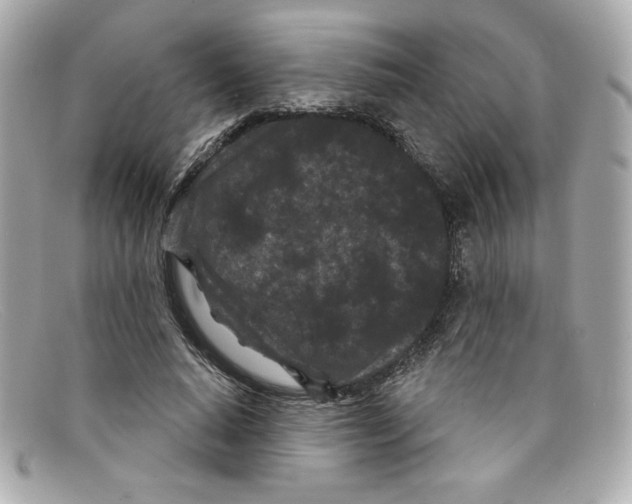 X0000097950640200804211038