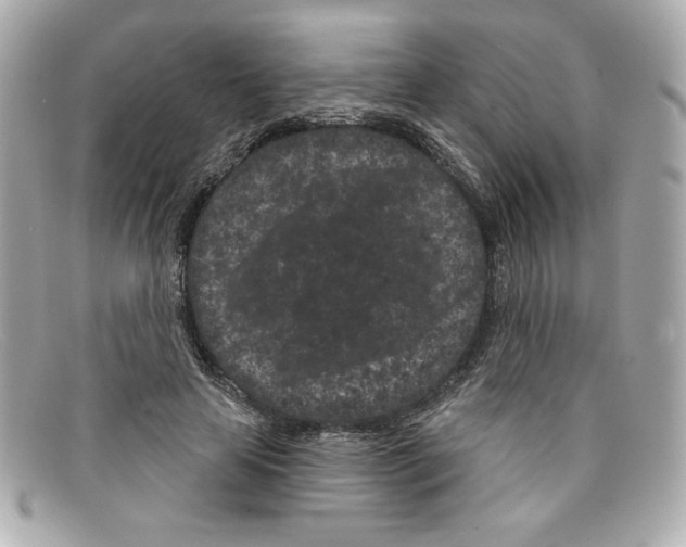 X0000097950641200804211038