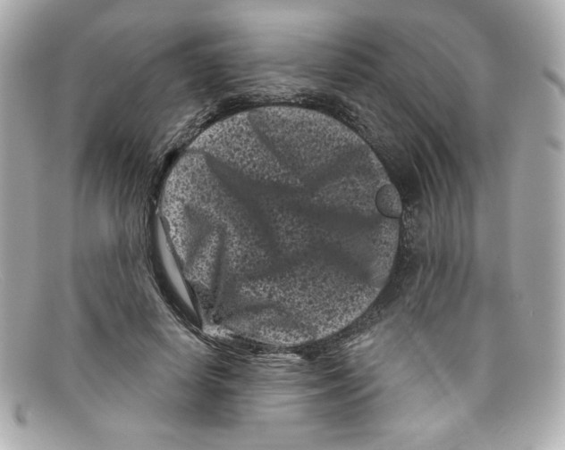 X0000097950642200804211038