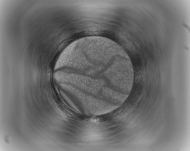 X0000097950647200804211038