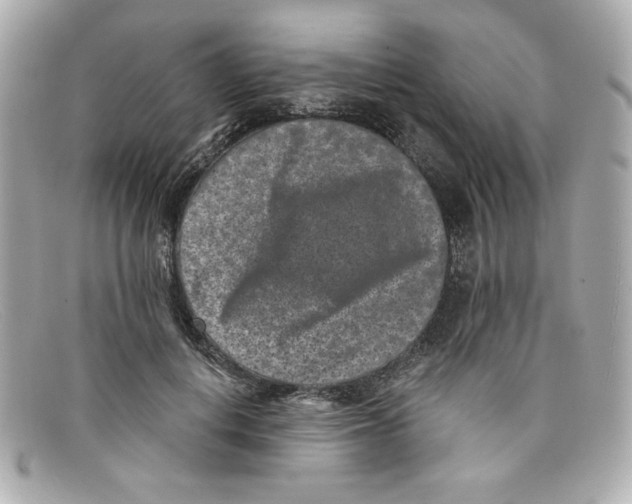 X0000097950648200804211038