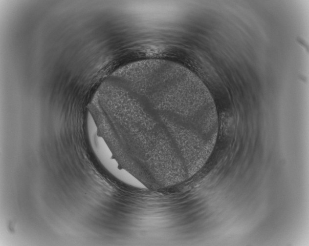 X0000097950650200804211038