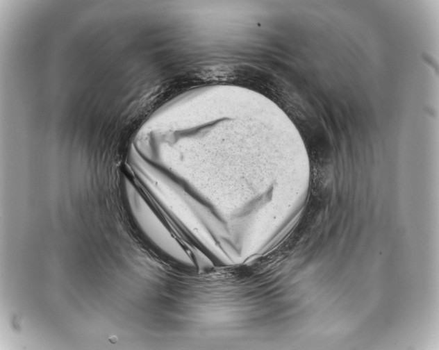 X0000097950652200804211038
