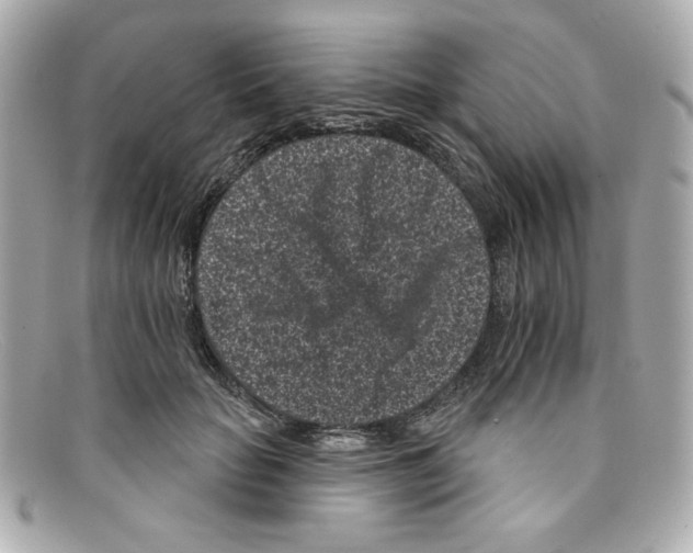 X0000097950653200804211038