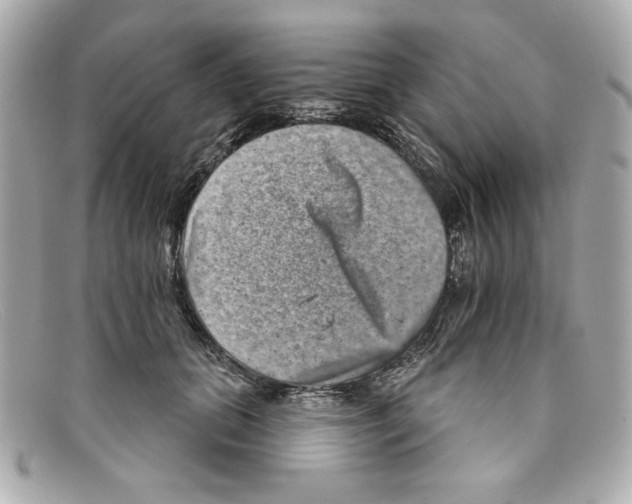 X0000097950655200804211038