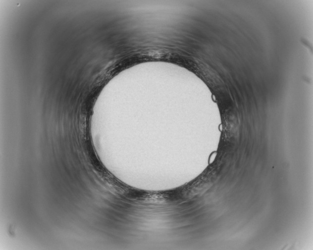 X0000097950656200804211038