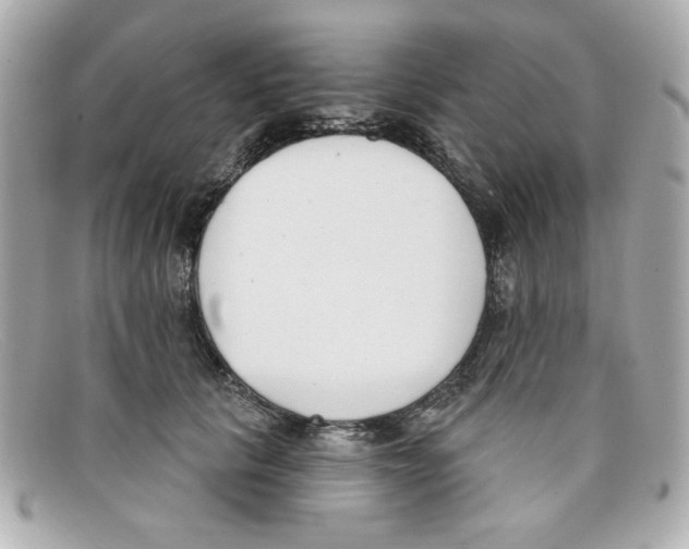 X0000097950657200804211038
