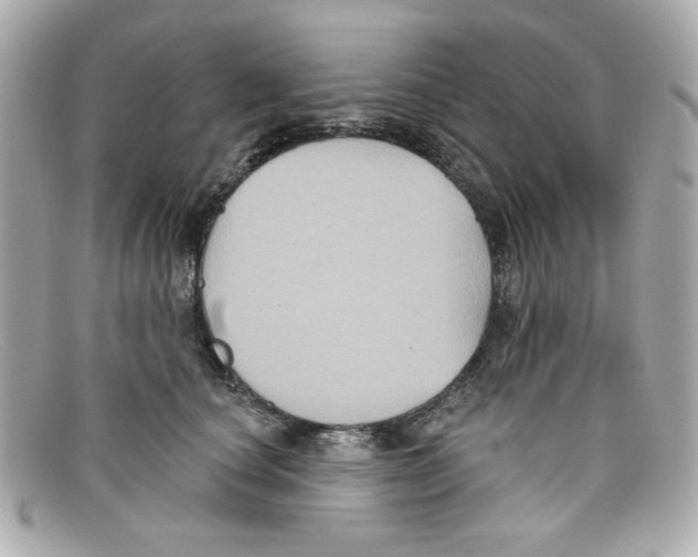 X0000097950660200804211038