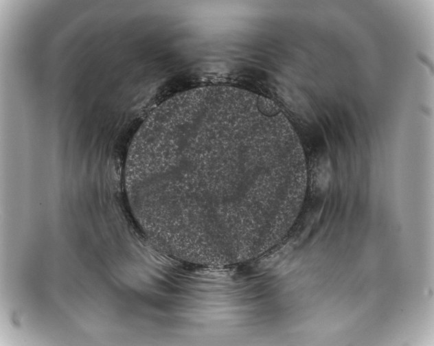 X0000097950661200804211038