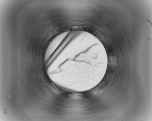 X0000097950664200804211038