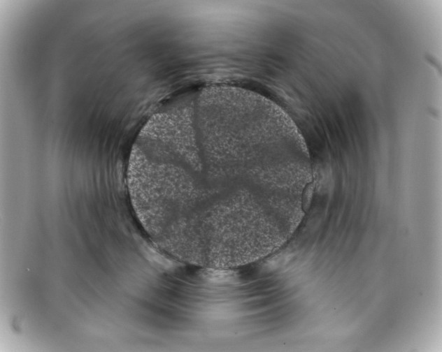 X0000097950670200804211038