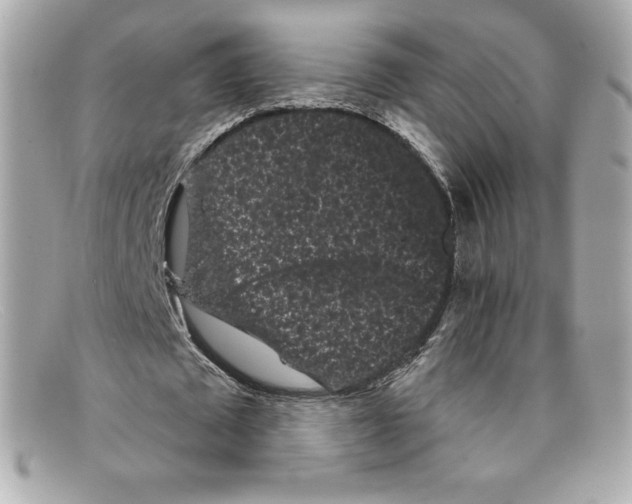 X0000097950673200804211037