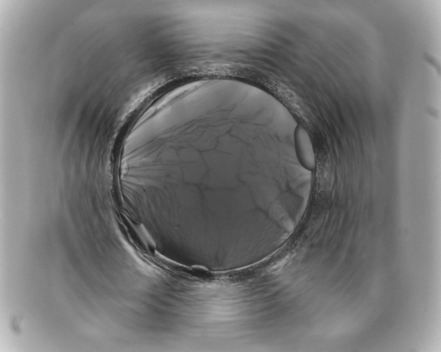 X0000097950674200804211037
