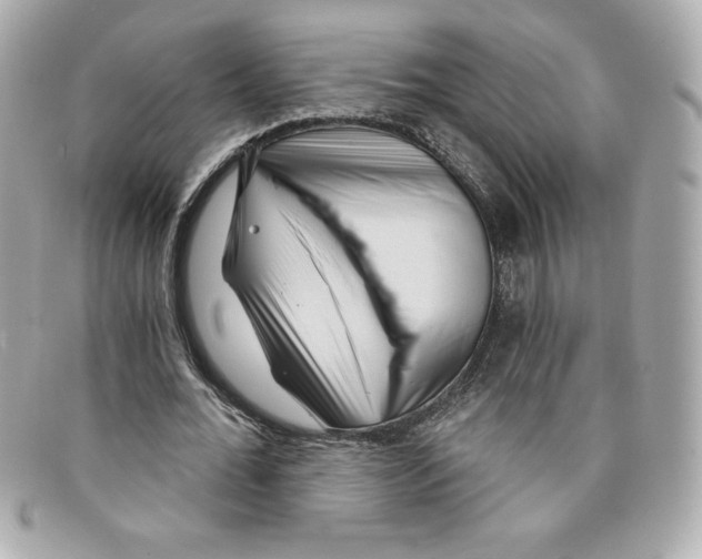 X0000097950676200804211037