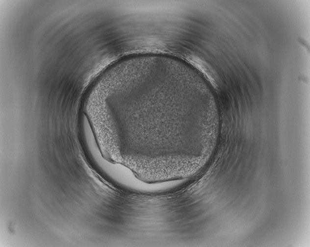 X0000097950677200804211037
