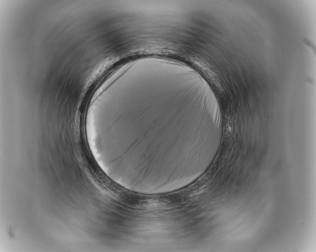 X0000097950678200804211037