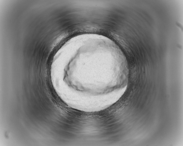 X0000097950679200804211037