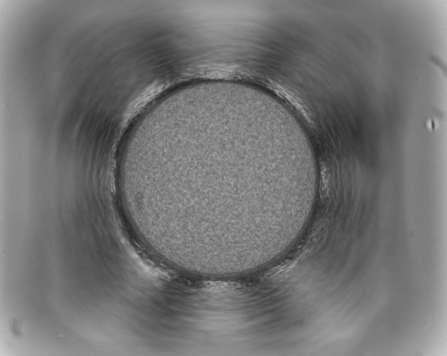 X0000097950682200804211037