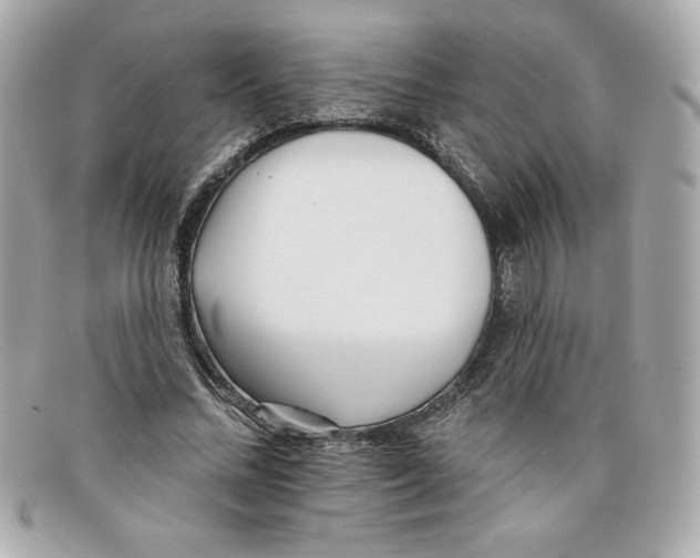 X0000097950684200804211037