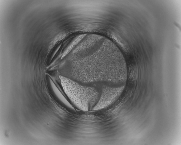 X0000097950685200804211037