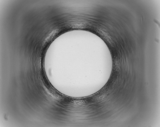 X0000097950686200804211037