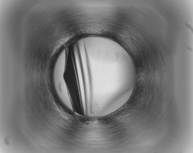 X0000097950688200804211037