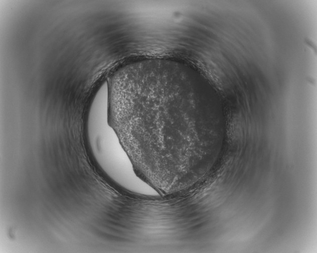 X0000097950689200804211037