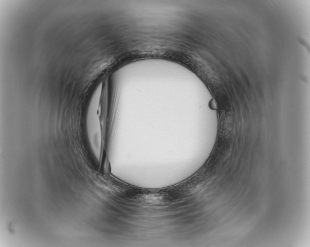 X0000097950692200804211037