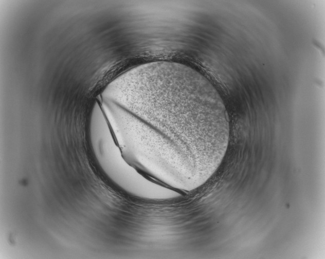 X0000097950693200804211037