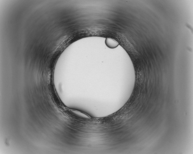 X0000097950694200804211037