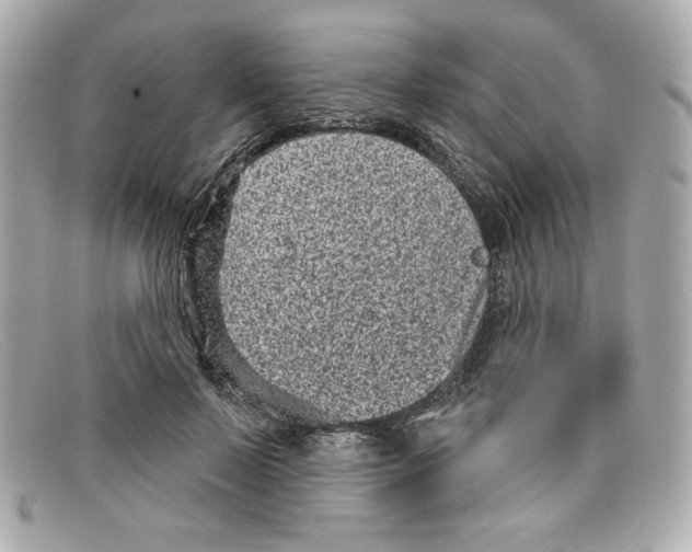 X0000097950695200804211037