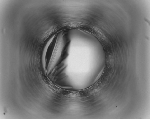X0000097950696200804211037