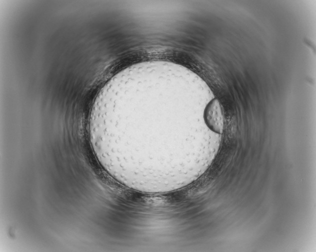 X0000097950698200804211037