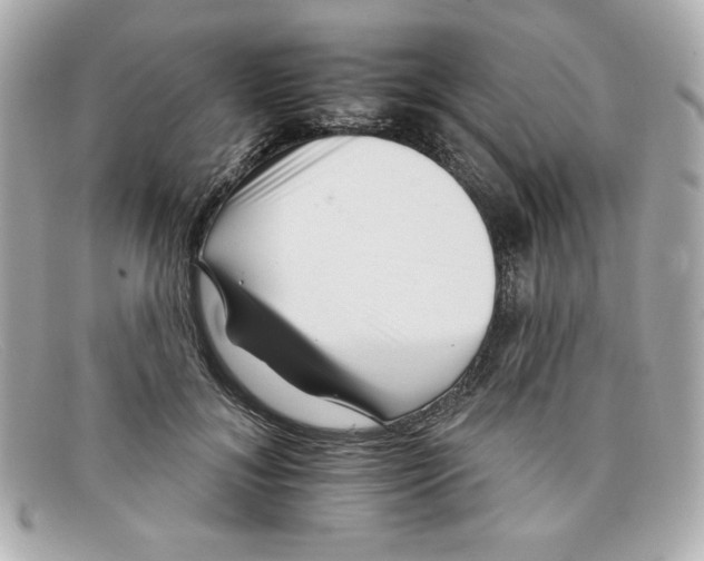X0000097950700200804211036
