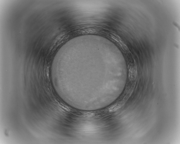 X0000097950701200804211036