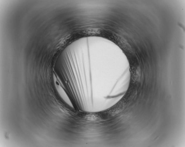 X0000097950704200804211036