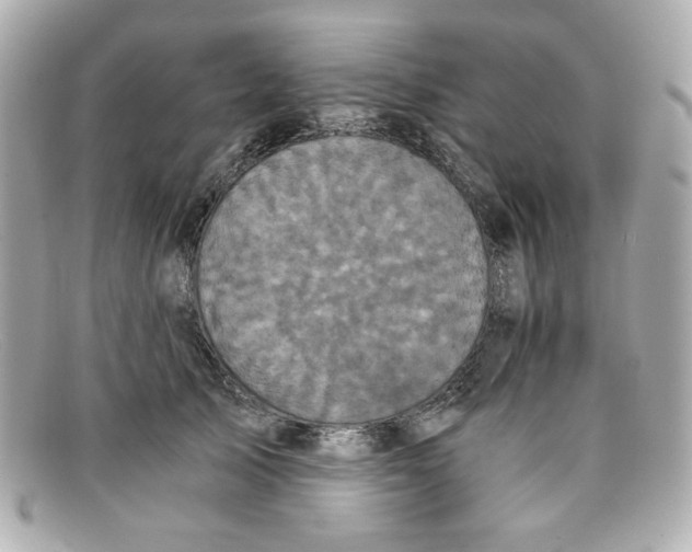 X0000097950705200804211036